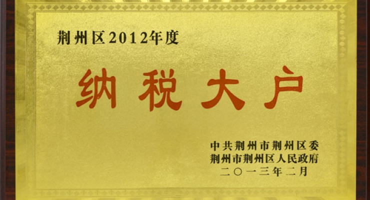 纳税大户.jpg