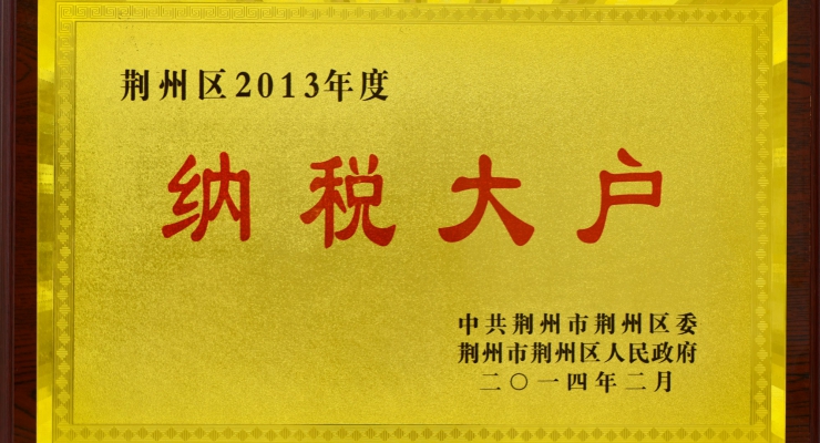 2013年纳税大户.jpg
